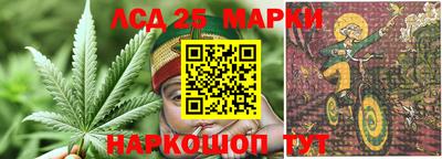 apvp Севастополь