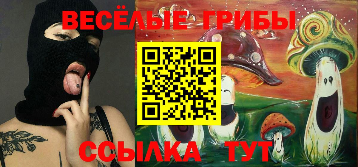 Галлюциногенные грибы GOLDEN TEACHER Скопин