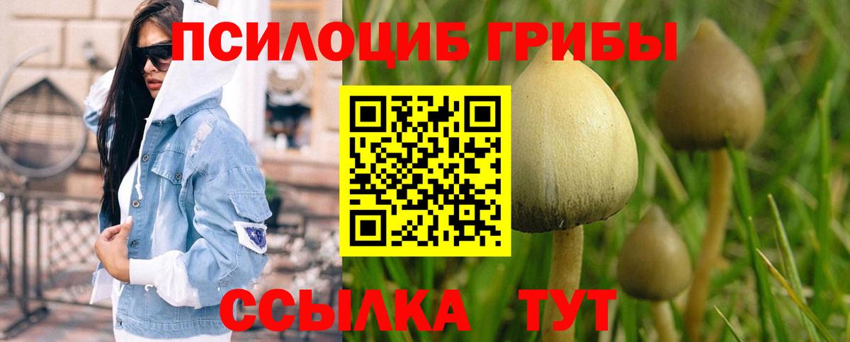 Псилоцибиновые грибы Psilocybine cubensis  Вход с VPN  дарнет шоп  Псилоцибиновые грибы Cubensis  Скопин 